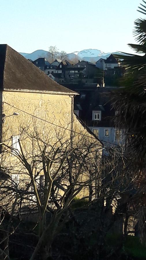 Chambres d'hôtes L'Oustal Oloron-Sainte-Marie Extérieur photo